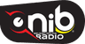 ONIB TV